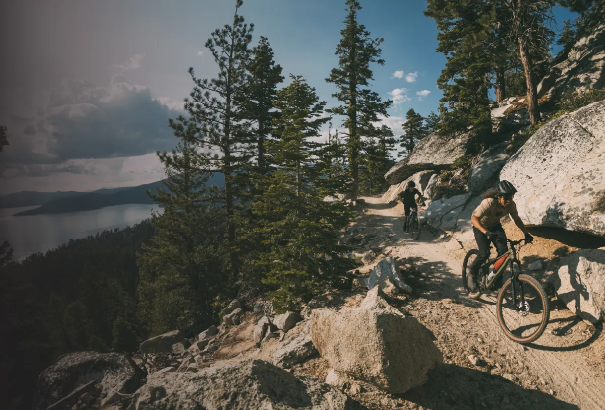 kolekcja mtb